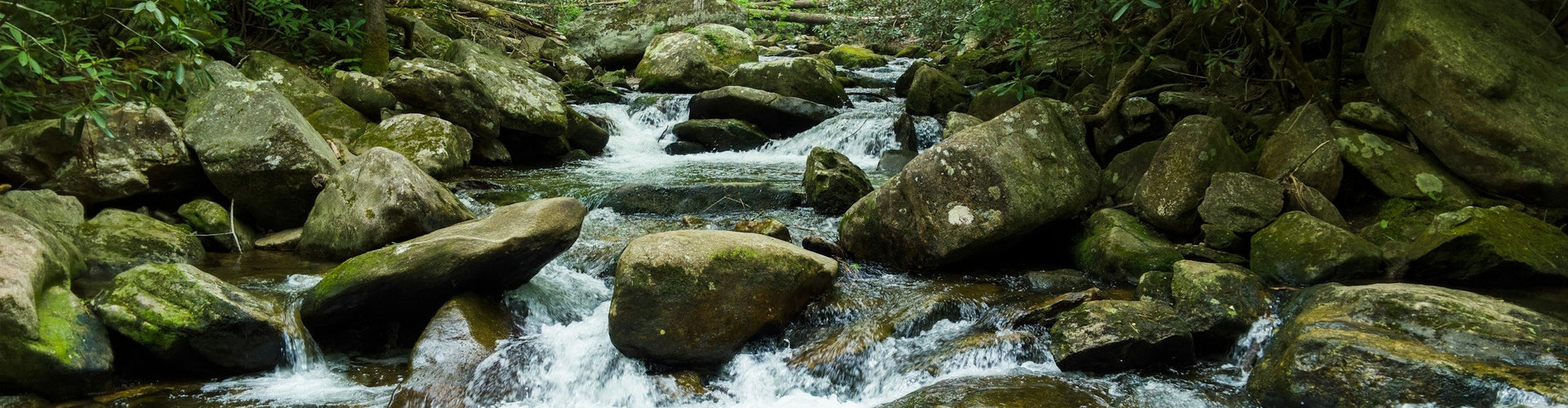 Give your guests what they want: A (mostly) outdoor experience
