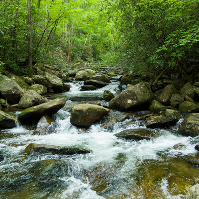 Give your guests what they want: A (mostly) outdoor experience