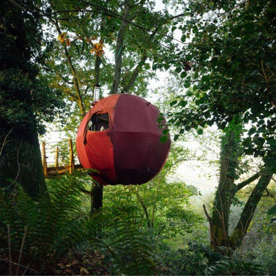 9 Best Modular Cabins for Sale for Airbnb Hosting