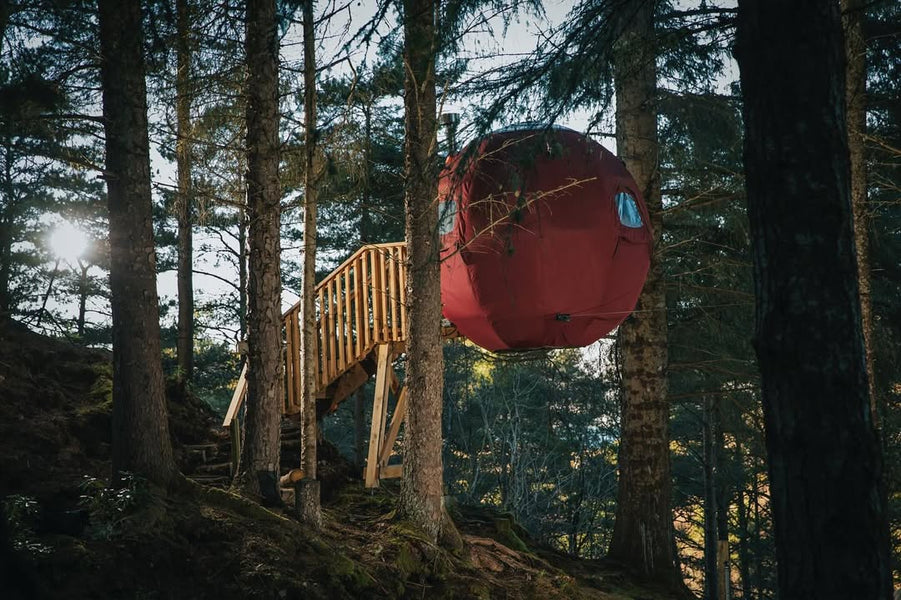 10 Eco-Friendly Resort Ideas That Guests Love in 2025