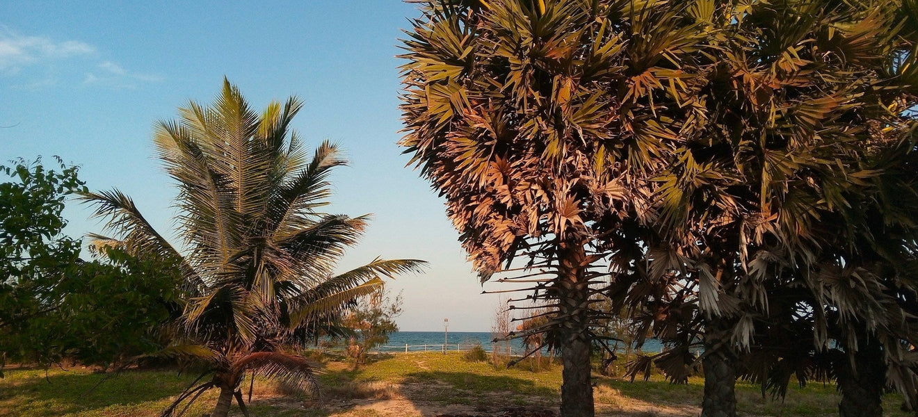 How to Setup Glamping Site in Florida (2025 Guide)