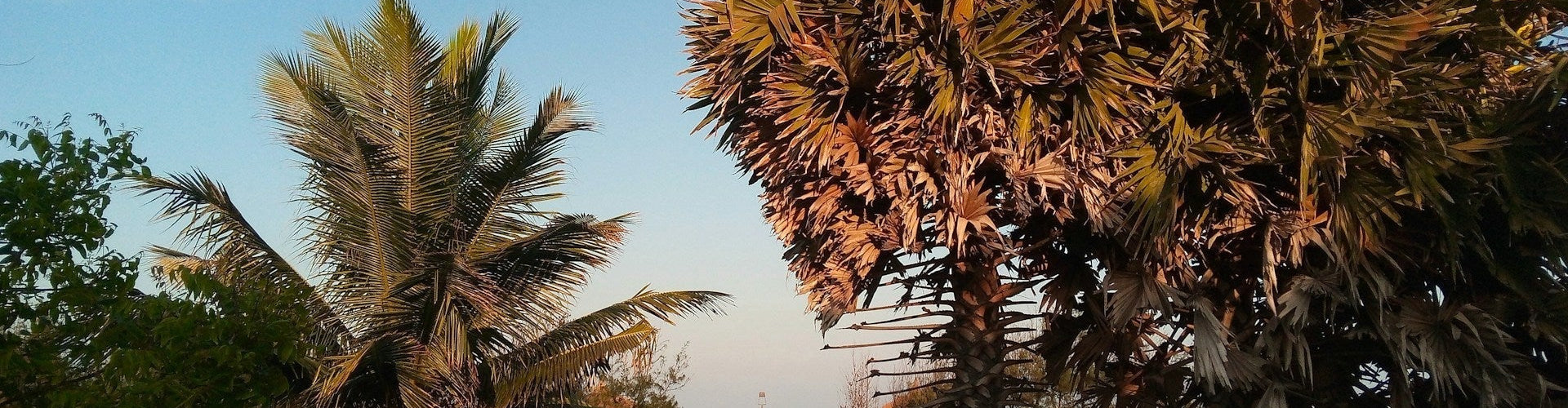 How to Setup Glamping Site in Florida (2025 Guide)