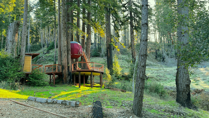 Top 5 Unique Airbnb Rentals to Inspire Your Next Property Upgrade