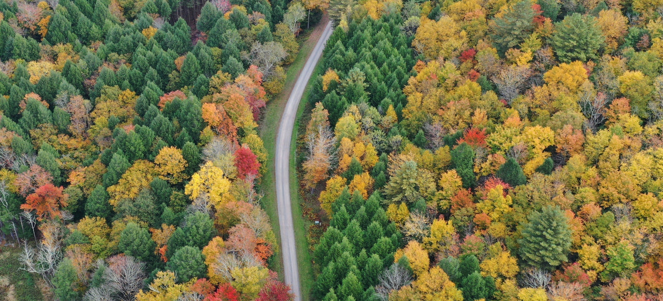 Setting up a Glampground in New York State? The Definitive How-To Guide on Regulations