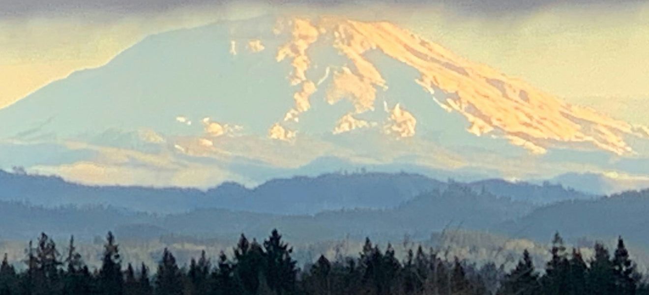 Navigating Glamping and Campground Regulations in Oregon