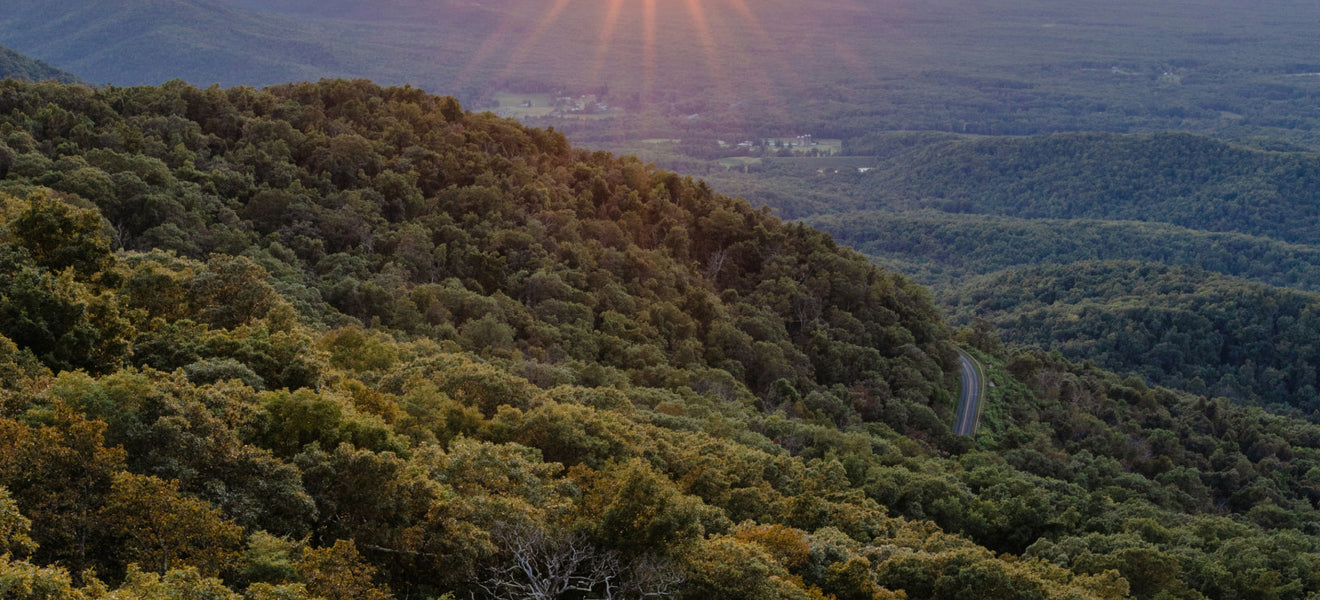 10 Best Glamping Destinations in Virginia for an Unforgettable Outdoor Escape